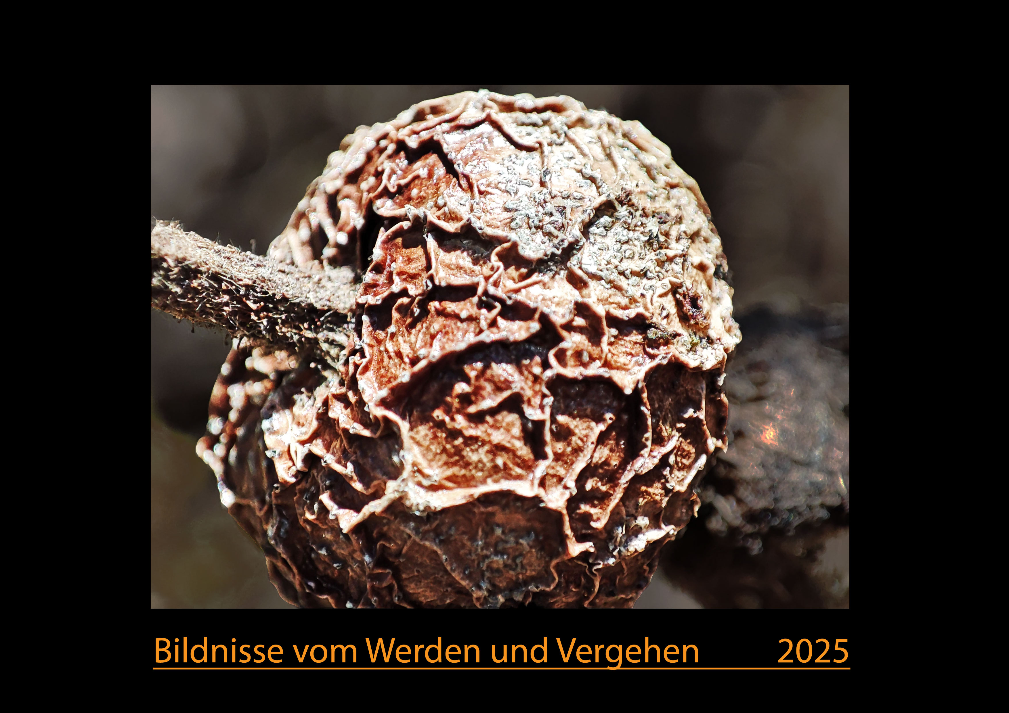Kalender 2025